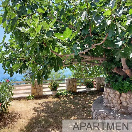 Denis * Stara Baška